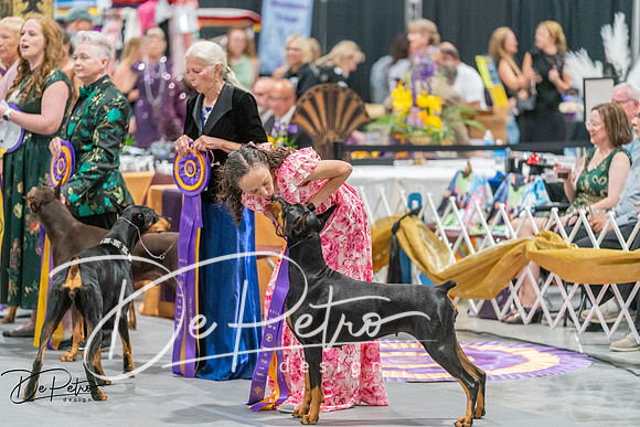 20260928-DSC05919