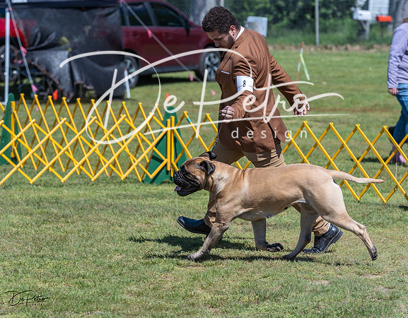 20230514-DSC03723