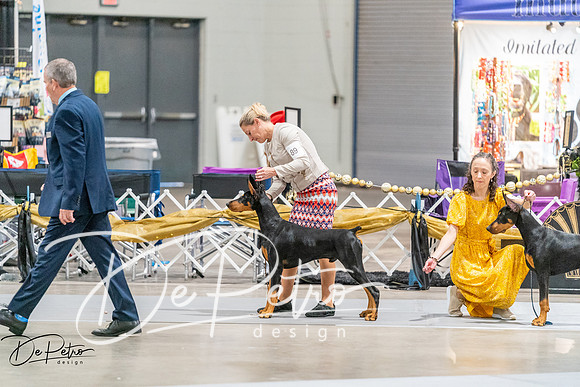 20261001-DSC07178