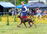 20230513-DSC08096