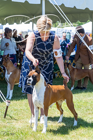 20230514-DSC04502