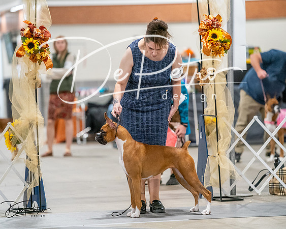 20261022-DSC03118