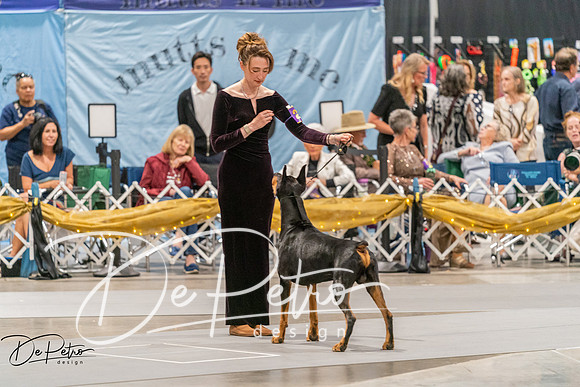 20260928-DSC06228