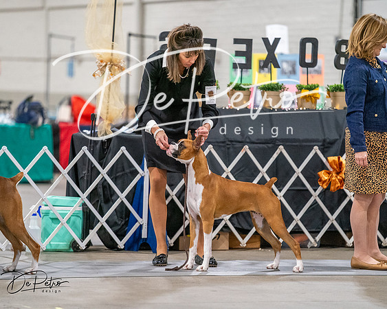 20261022-DSC03125