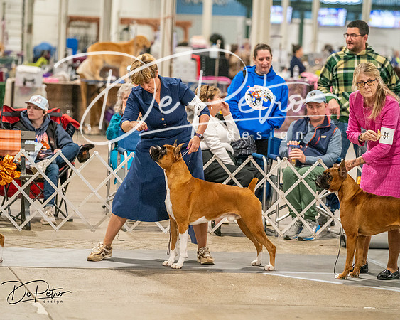 20261022-DSC02100