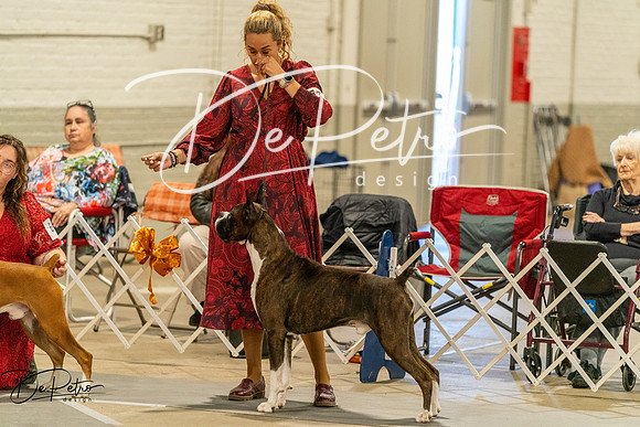 20261023-DSC05755