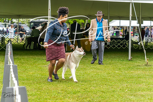 20230427-DSC02974
