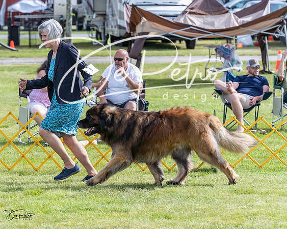 20230513-DSC00997