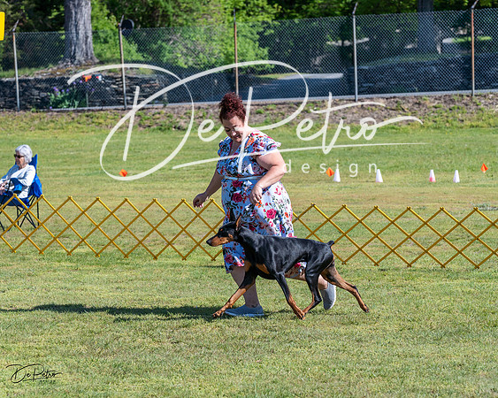20230514-DSC02612