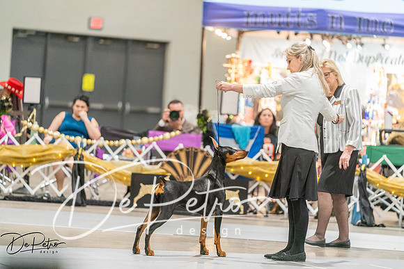 20260927-DSC05247