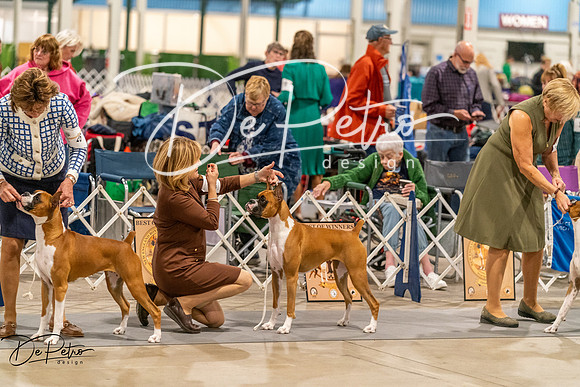 20261023-DSC04952