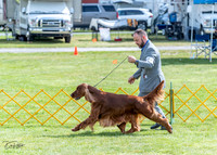 20230512-DSC05582
