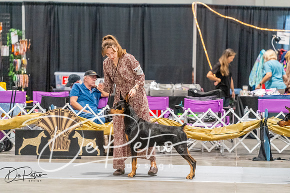 20261001-DSC07193