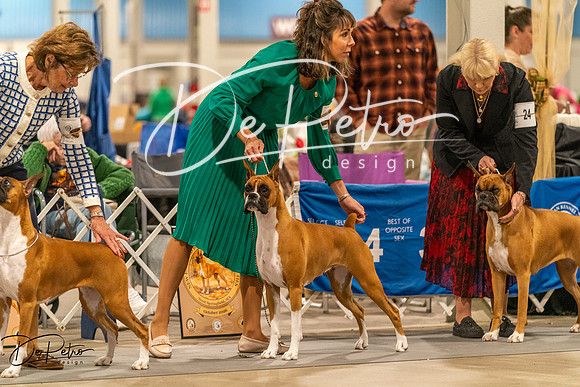 20261023-DSC05497