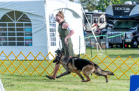 20230512-DSC07053