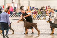 20261024-DSC00586