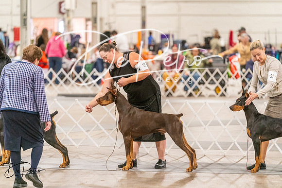 20261024-DSC00586