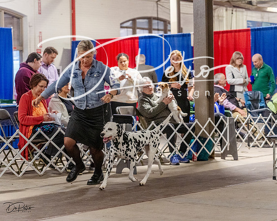 20230401-DSC07125