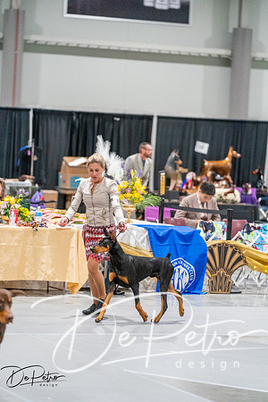 20261001-DSC07325