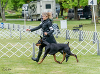 20230428-DSC07687