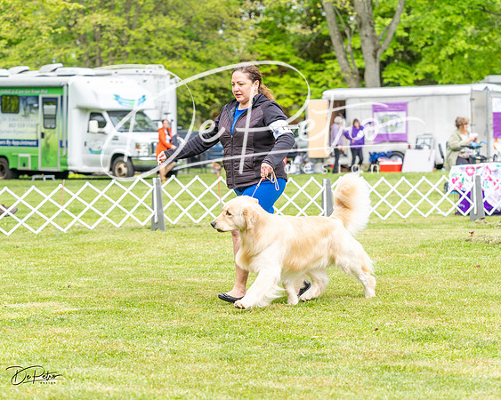 20230427-DSC03350