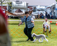 20230513-DSC00008