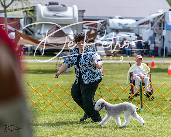 20230513-DSC00008