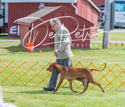 20230513-DSC09580
