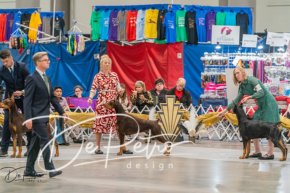 20260927-DSC05749