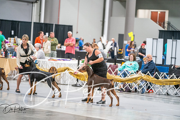 20260926-DSC04240
