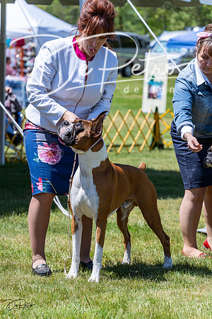 20230514-DSC04373