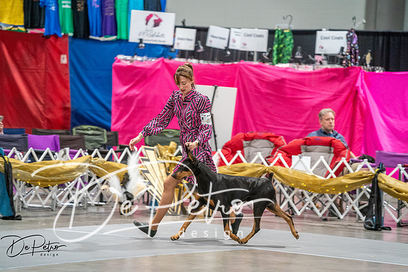 20260926-DSC04821