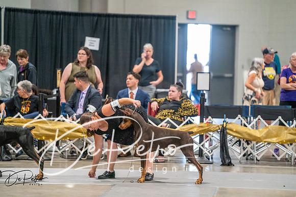 20260926-DSC04224
