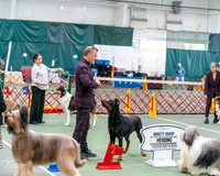 20261017-DSC08510
