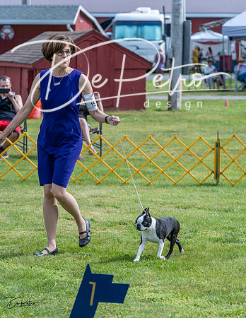 20230513-DSC00421