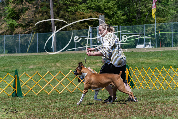 20230514-DSC04306