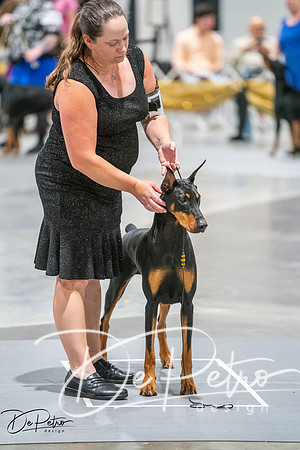 20260926-DSC04166