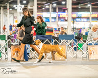 20261022-DSC01602