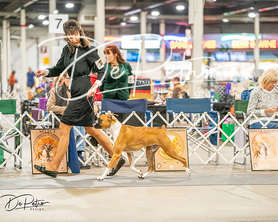20261022-DSC01602