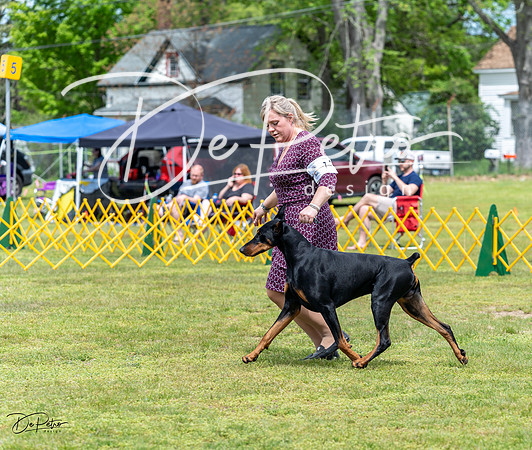 20230513-DSC08148