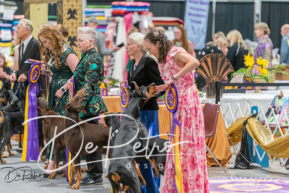 20260928-DSC05910