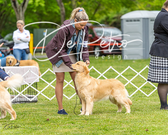 20230427-DSC03694