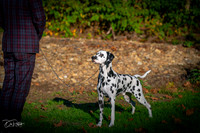 20261017-DSC08884