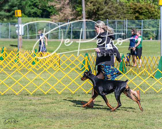 20230514-DSC03044