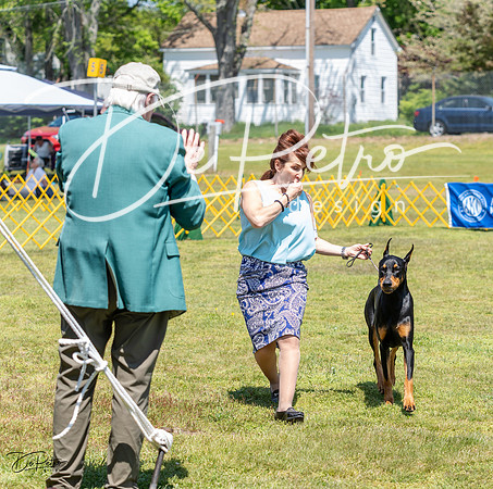 20230512-DSC02939