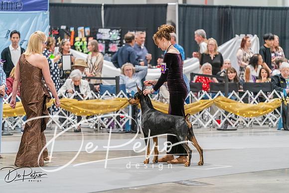 20260928-DSC06140