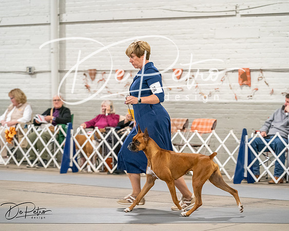 20261022-DSC03232