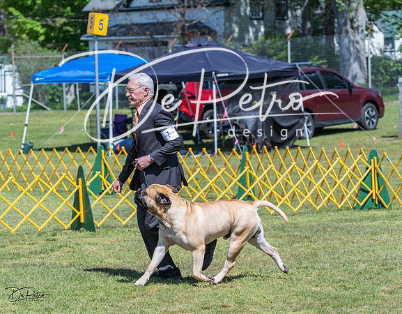 20230514-DSC03682