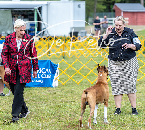 20230513-DSC07582