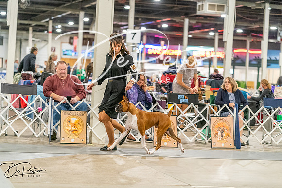 20261022-DSC01043